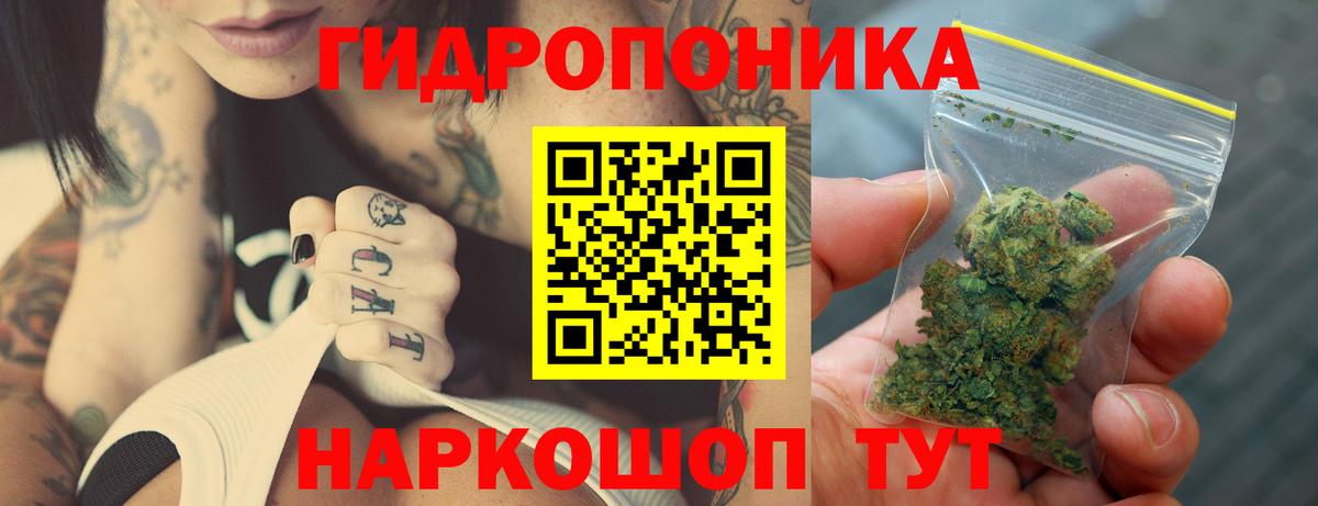 Каннабис тримм  Конопля план  Кохма  Вход с VPN  Каннабис OG Kush  МАРИХУАНА ГИДРОПОН 